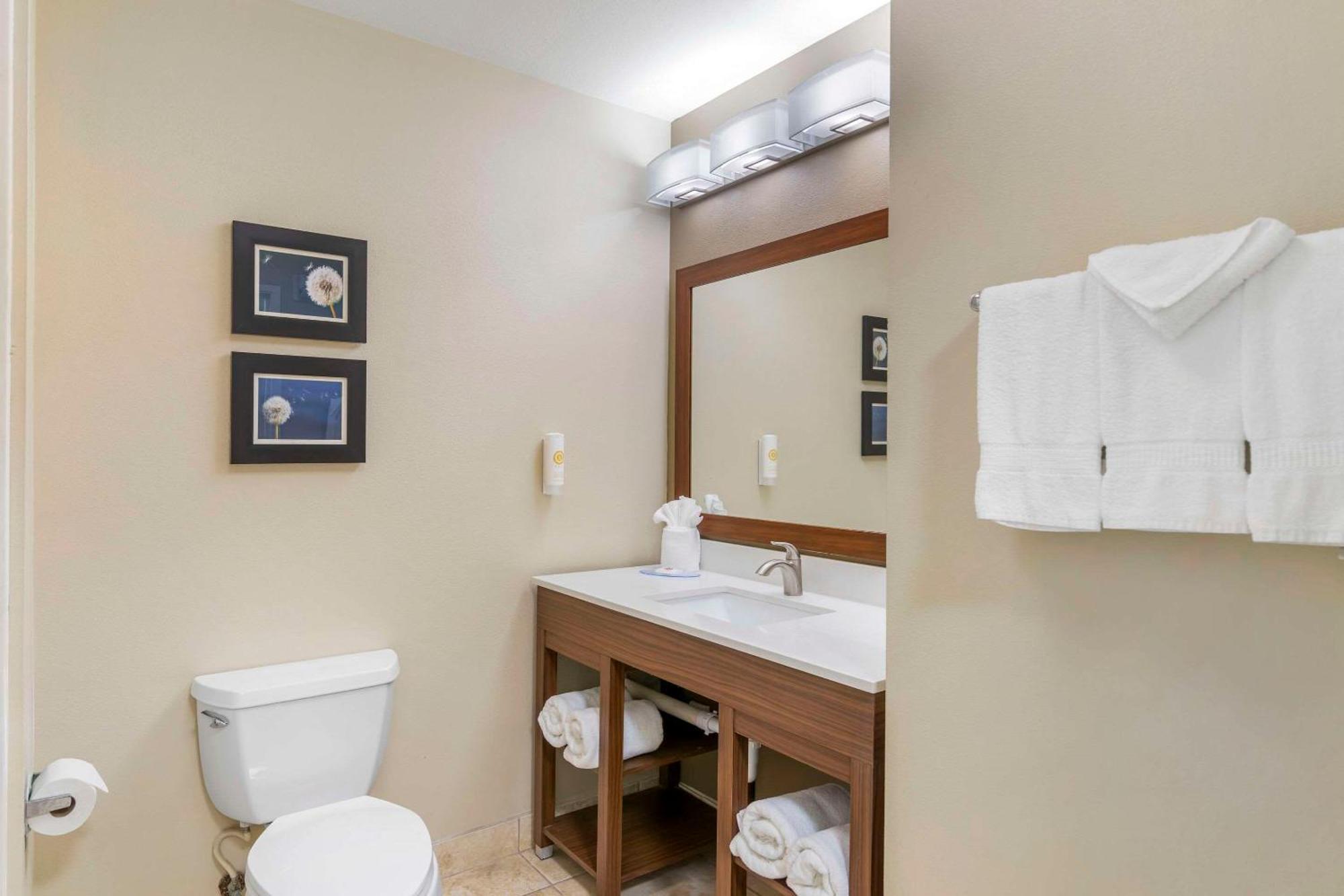 Comfort Inn & Suites Tifton Εξωτερικό φωτογραφία